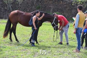 El Valle de los Nueve Alto celebra el día grande de sus fiestas patronales/Francisco Javier Santana.